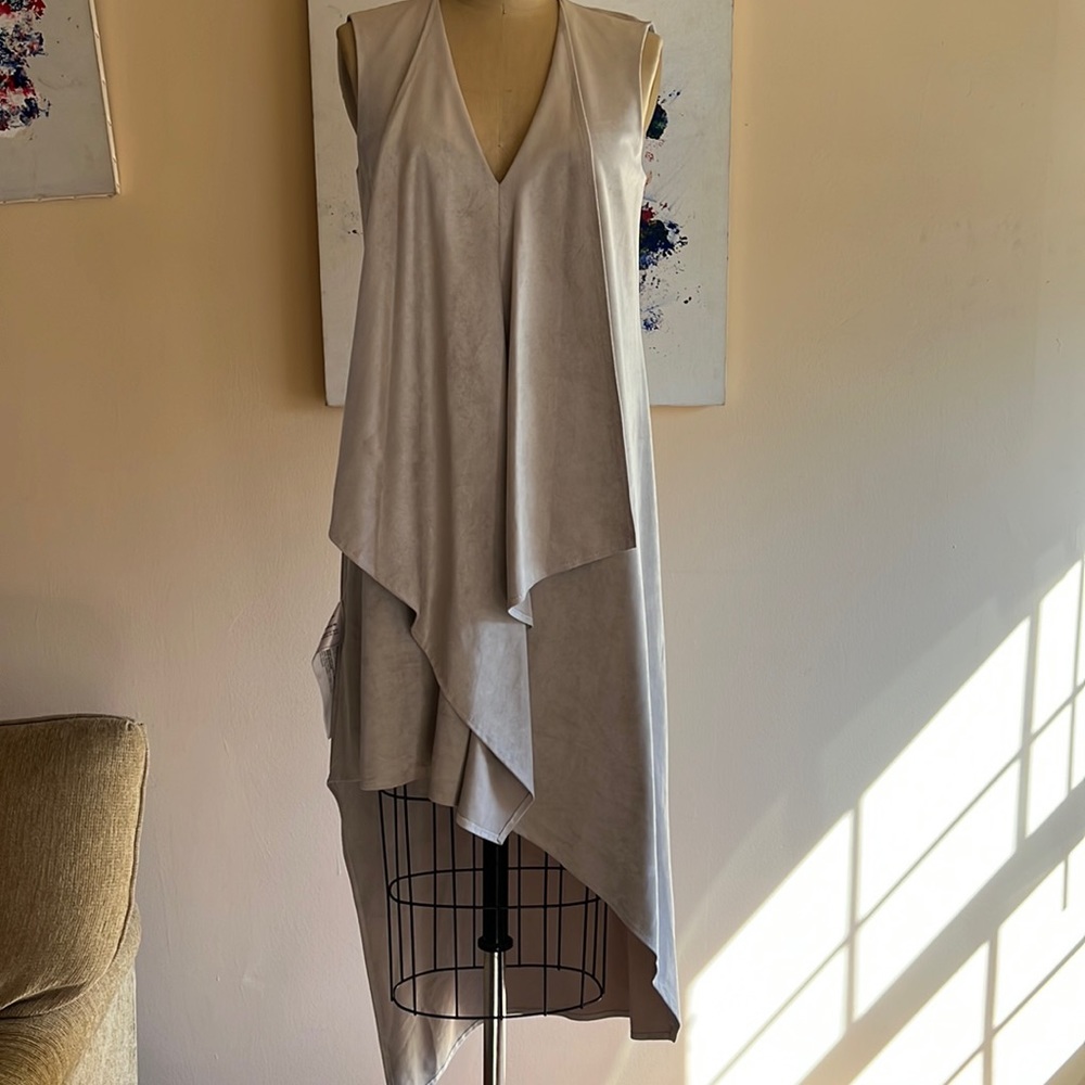 BGMaxAzria TRAR asymmetrical dress